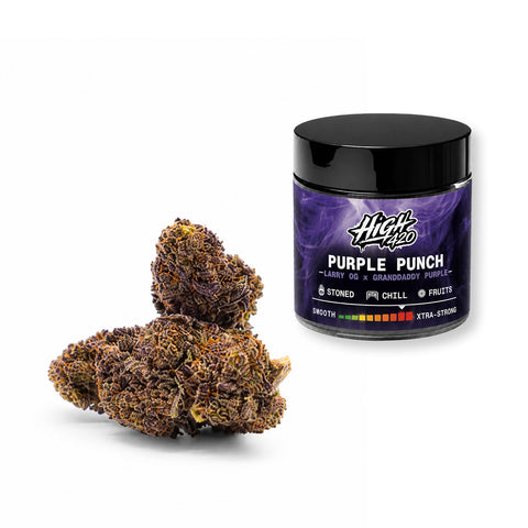 Purple Punch 9H-THC Blüten